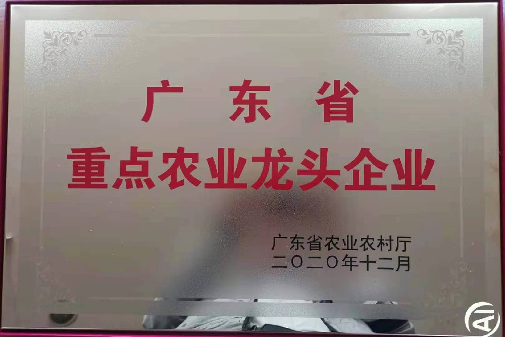 更上一层楼！追求无止境